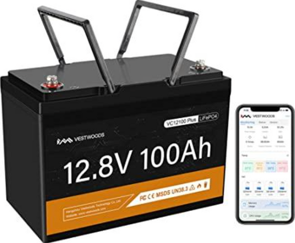 Low Voltage batteries (12V)